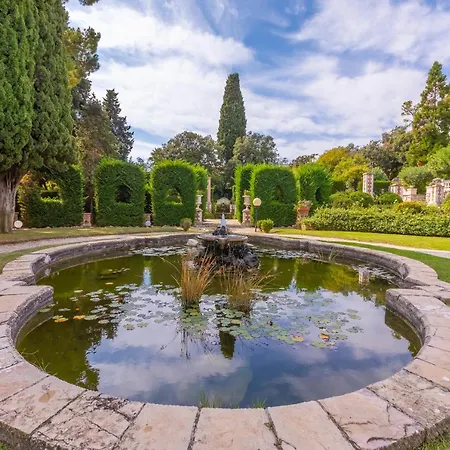 Les Cyclamens - Happy *